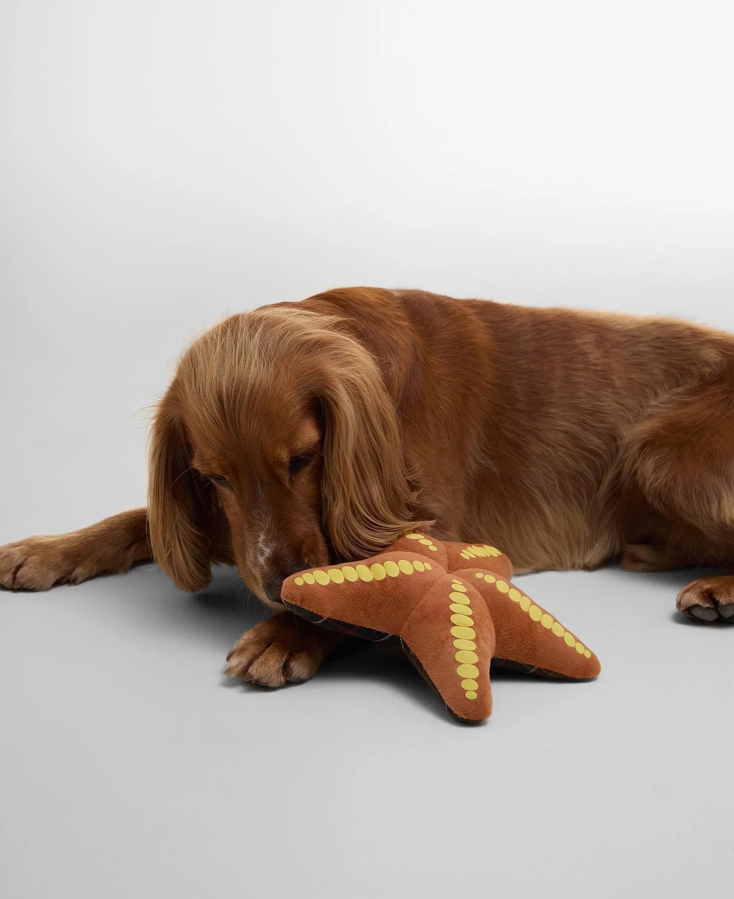 Barbour Starfish Dog Toy - Classic Tartan