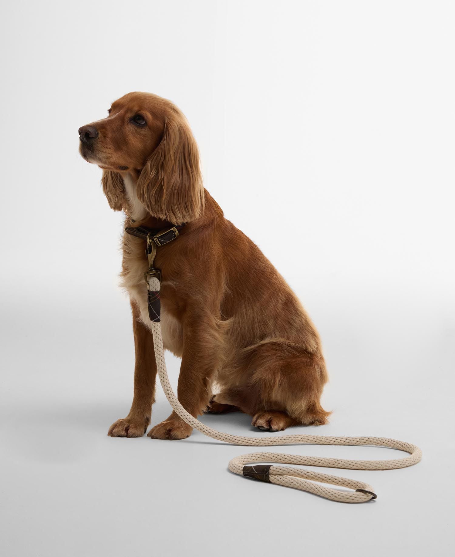 Barbour Rope Dog Lead - Natural