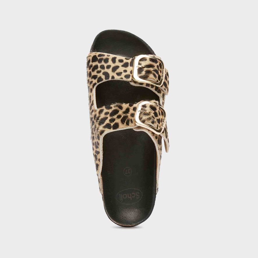 Scholl Noelle Mules - Leopard Print